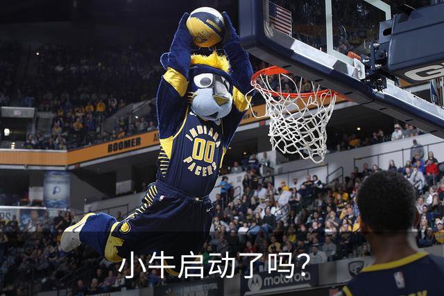 小牛启动了吗？