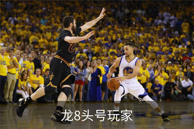 龙8头号玩家公司简介图片